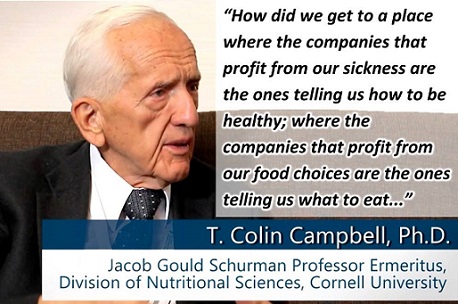 What does Dr. T. Colin Campbell think of the Paleo diet?
