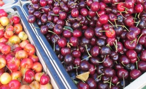 Cherries are a favorite summer treat