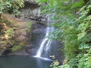 Silver Falls State Park is best known for its stunning waterfalls