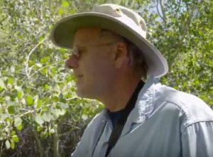 Dr. Bill Ripple shows how aspen have grown back thick and beautiful on Hart Mountain, now that cattle are gone
