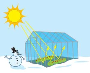 This image from NASA Climate Kids shows how the sun warms a greenhouse even in the middle of winter