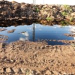 manure-heap-and-pool